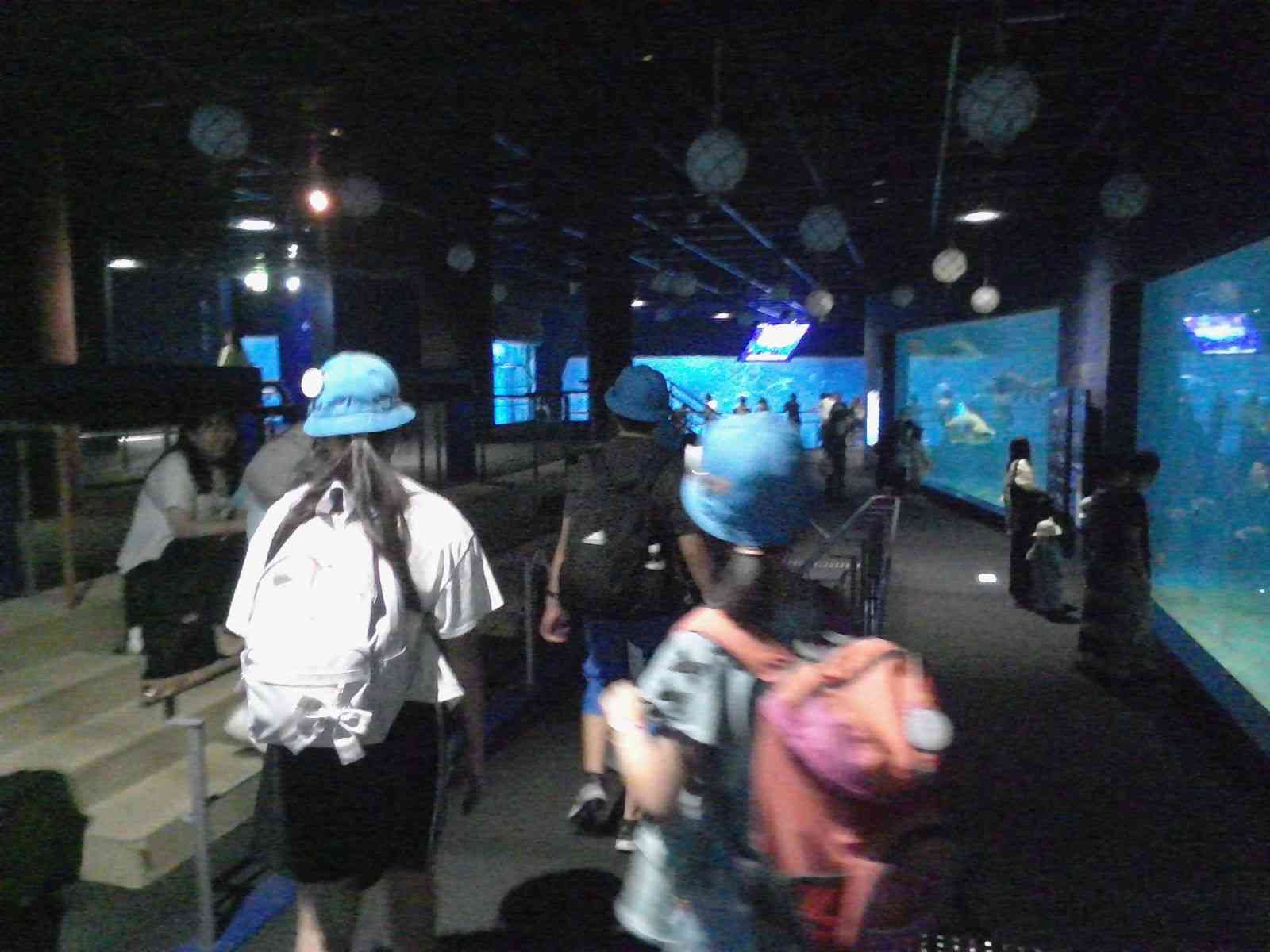 林間１